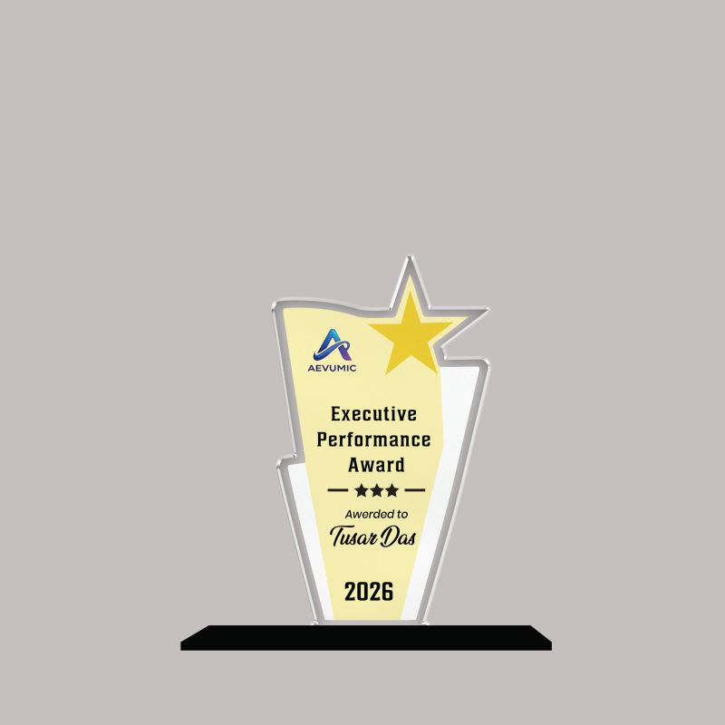 Executive Performance Award Personalized Acrylic Award Trophy Custom with Name  Achievement Award for Employee, Corporate Recognition Thankyou Gift for Employee